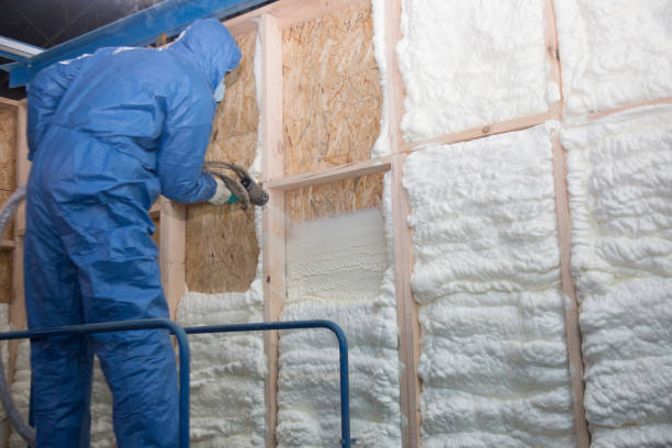 Types of Insulation We Offer in Gladeview, FL